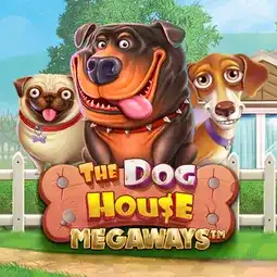 The Dog House Megaways game at Golden Mister Casino for United Kingdom players The Dog House Megaways game at Golden Mister Casino for United Kingdom players